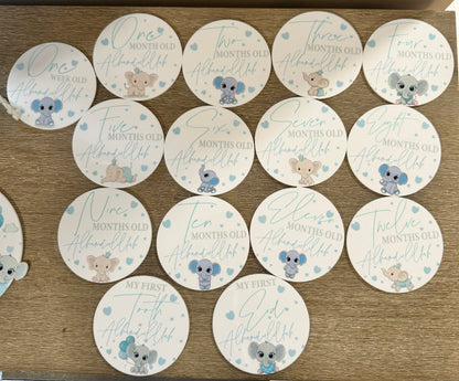 Printed Baby Elephant Baby month Milestone Plaques set