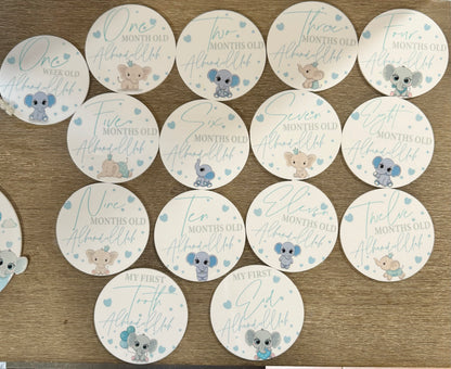 Printed Baby Elephant Baby month Milestone Plaques set